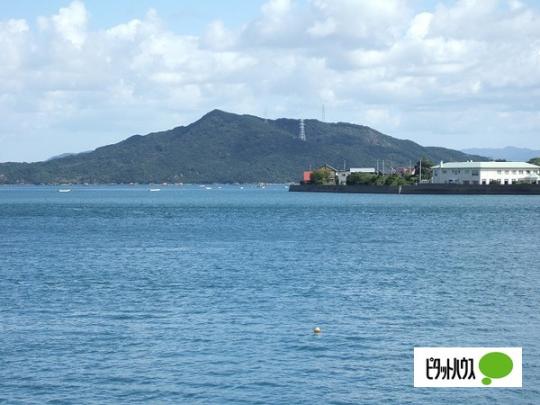 明徳 アーネスト 三徳包丁 永切れ王(圧着ブリスター) A-76847 1個