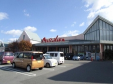 &nbsp;�@�}���i�J������`�X:1167m